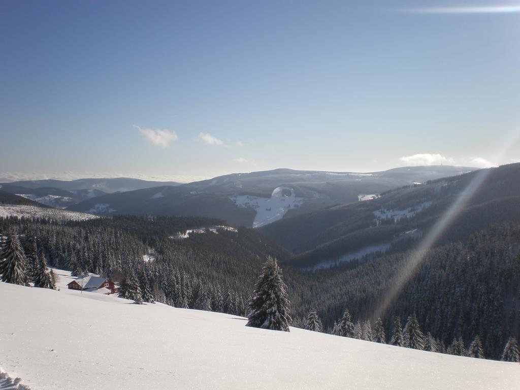 Homestay U Vorechovskych *
