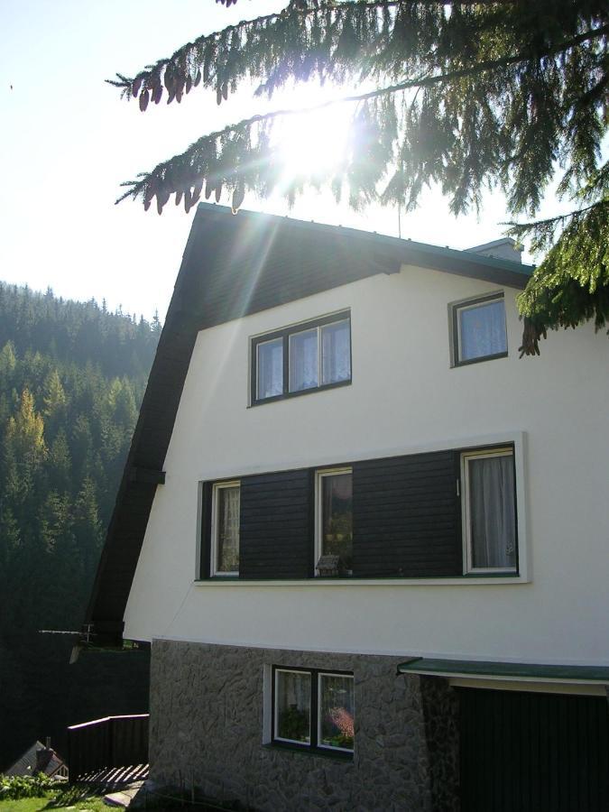 Homestay U Vorechovskych *